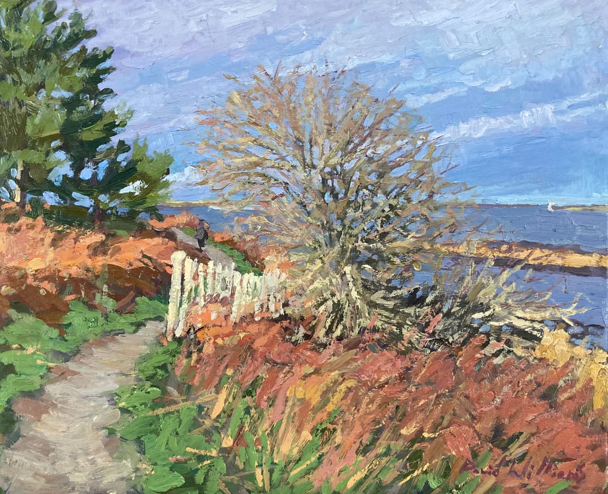 Penn Énez by David  A. Williams, Image 2.