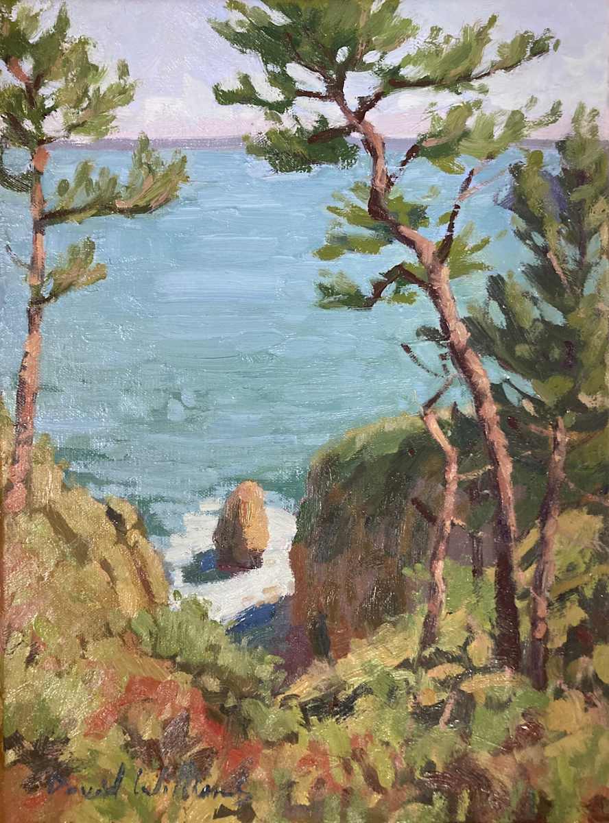 Baie de Douarnenez by David  A. Williams 