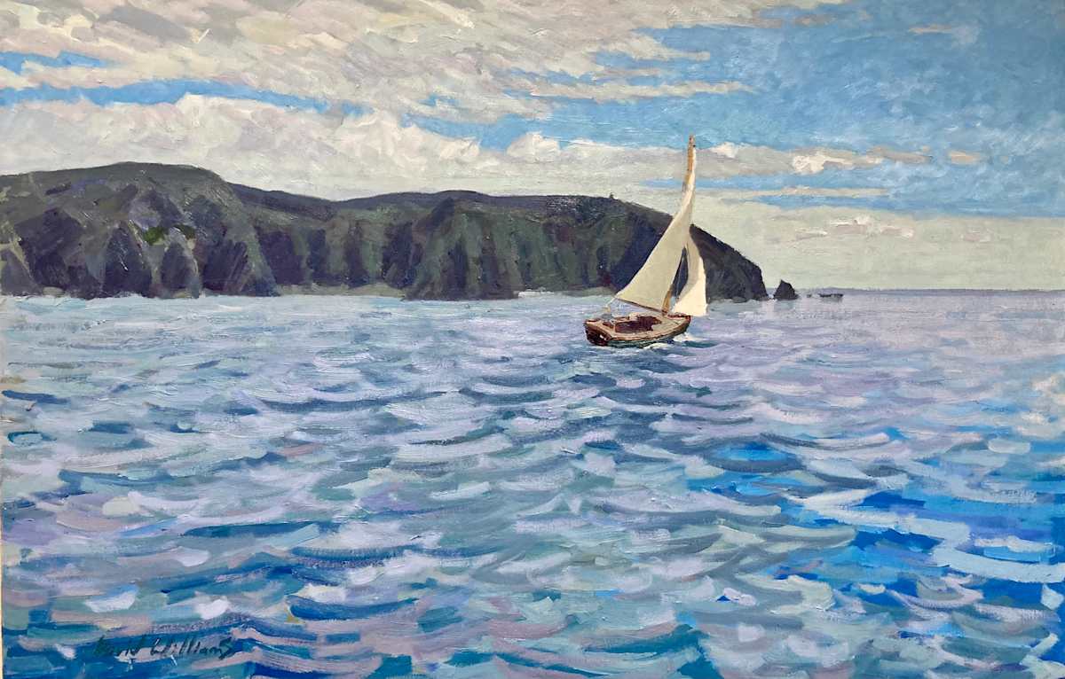 Around the Cape  (Cap de la chèvre) by David  A. Williams 