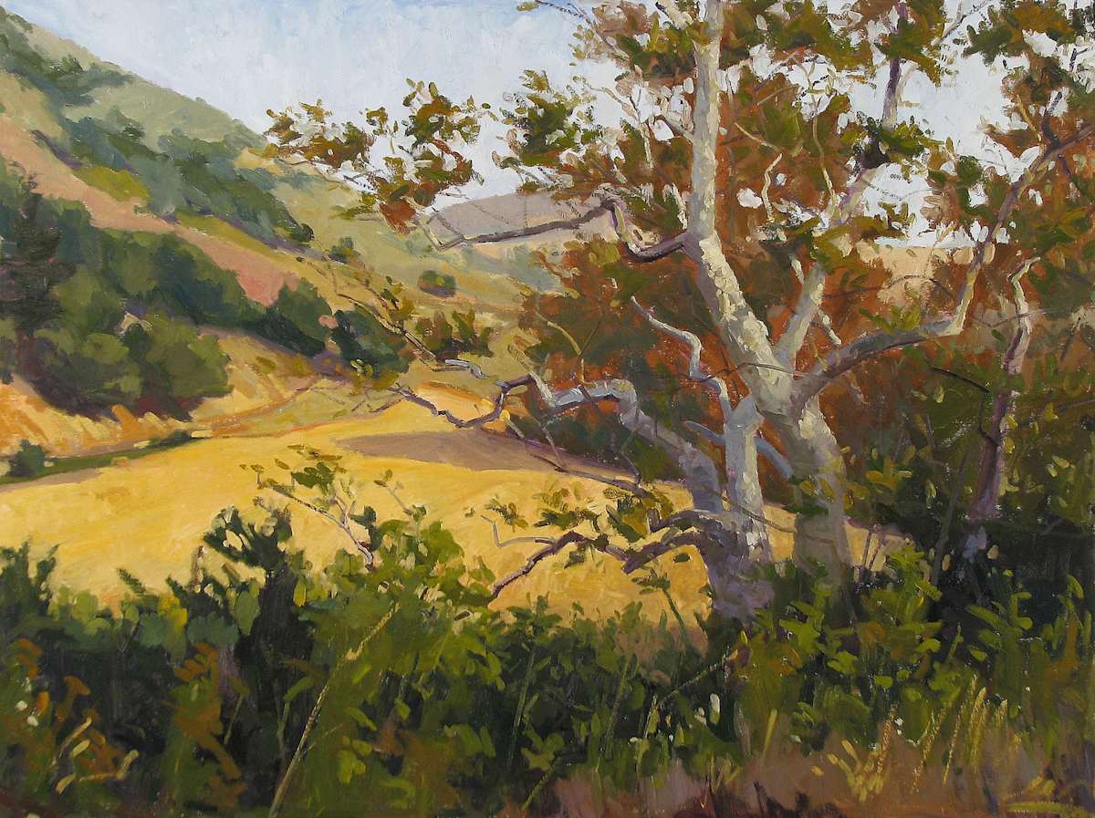 San Bernardo Sycamore by David  A. Williams, Image 1.