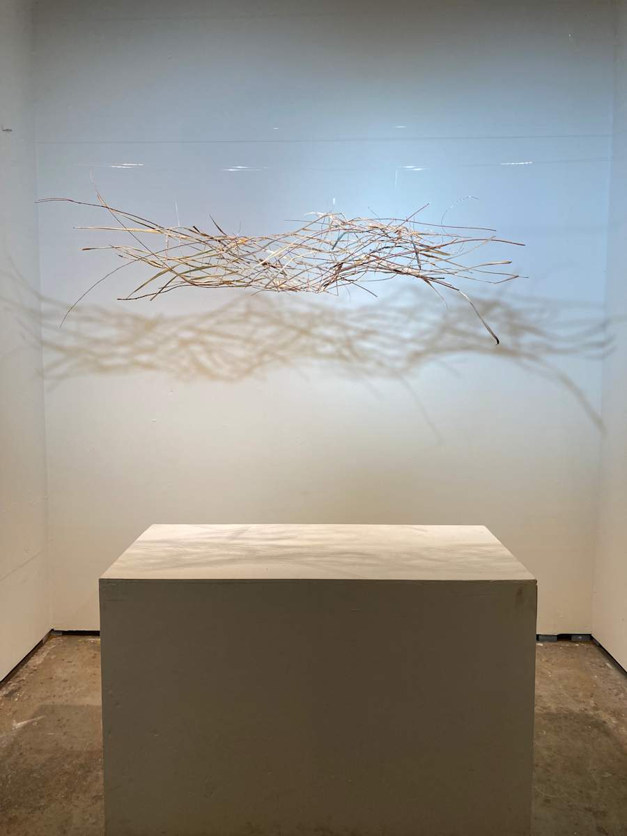 Uproot by Amber Coppings, Image 1.