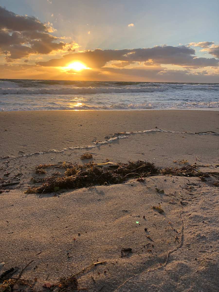 Good Morning Sunshine by Allison "Ally Bee" Findeiss-Becker 