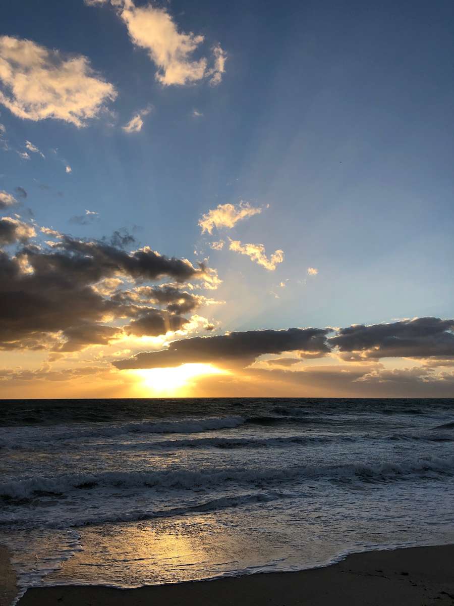 Morning Rays by Allison "Ally Bee" Findeiss-Becker 
