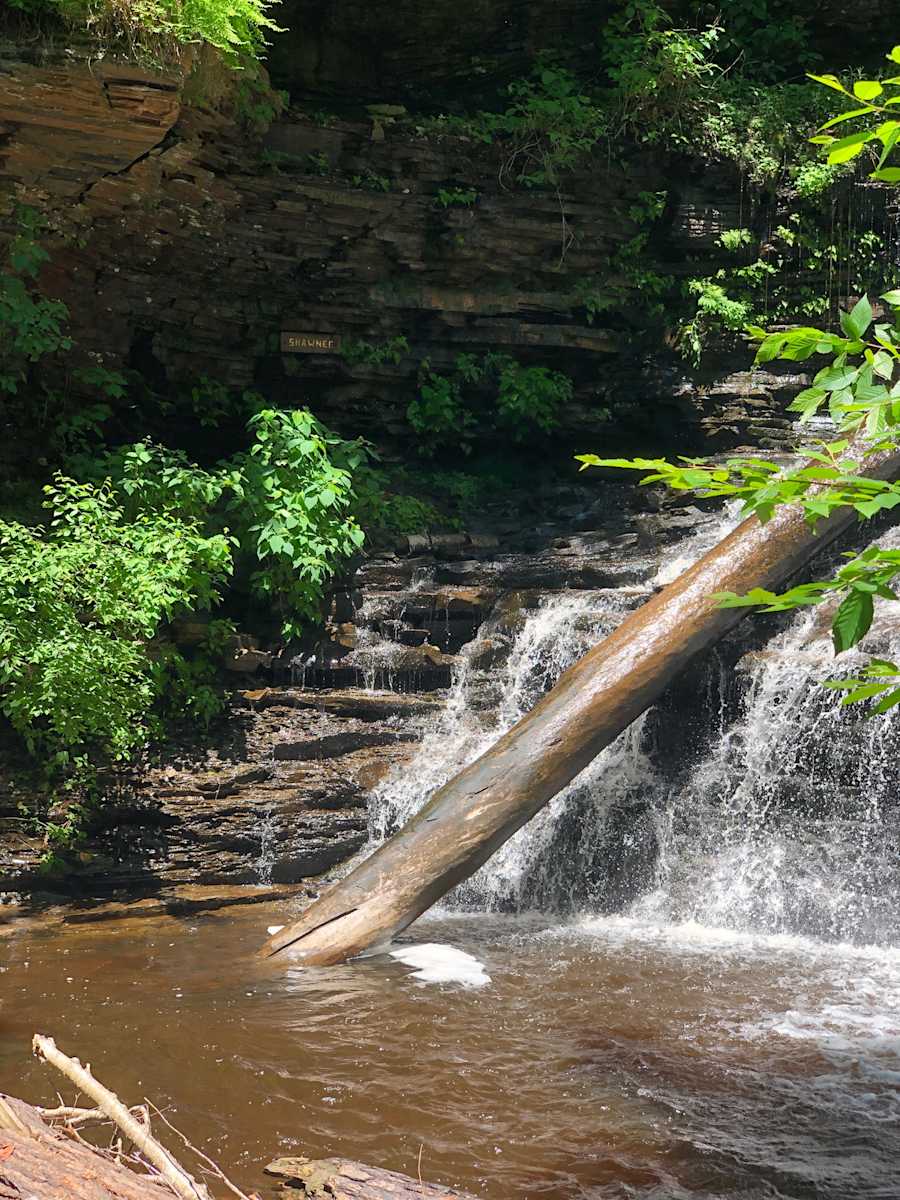 Don’t Go Chasing Waterfalls by Allison "Ally Bee" Findeiss-Becker 