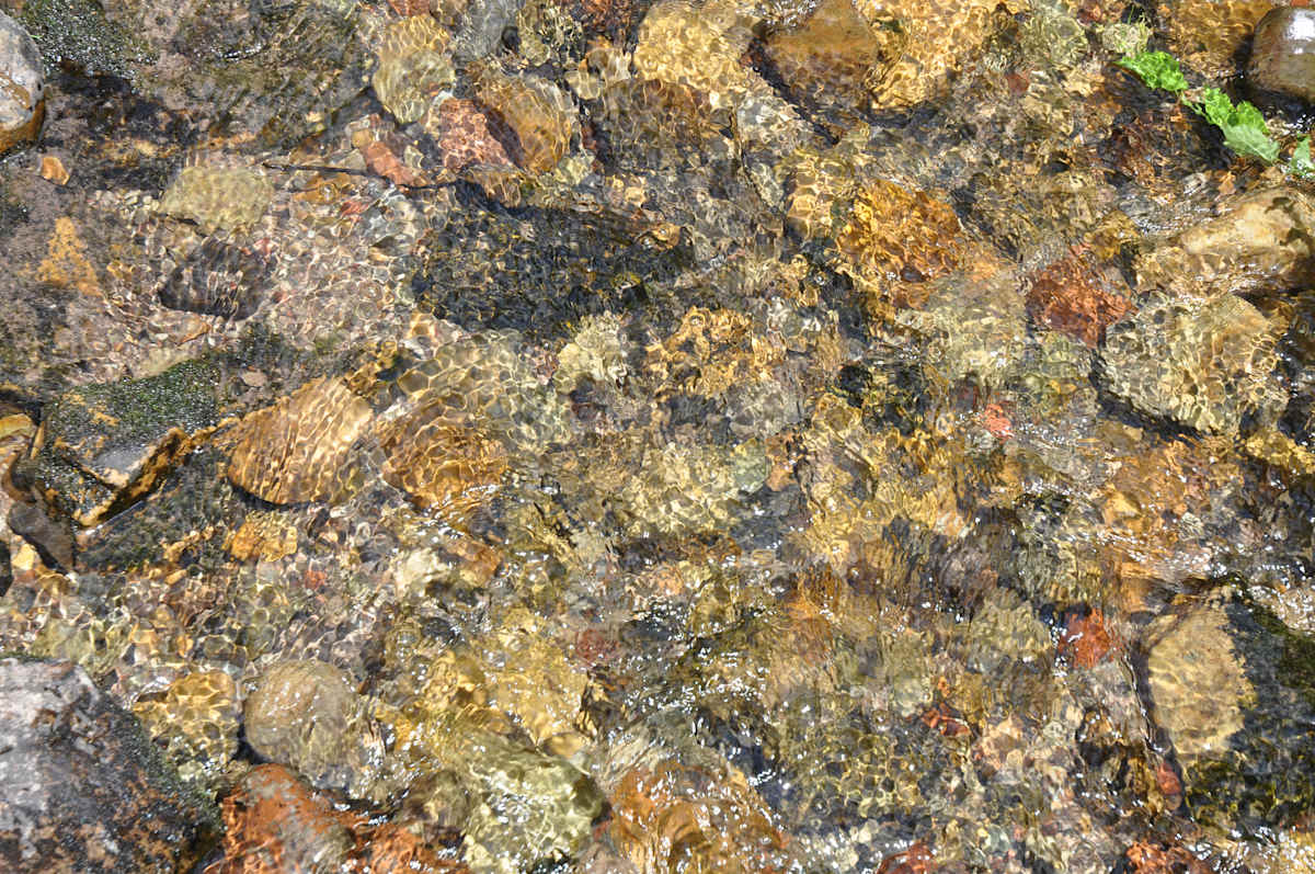 No man ever steps in the same river twice by Allison "Ally Bee" Findeiss-Becker 