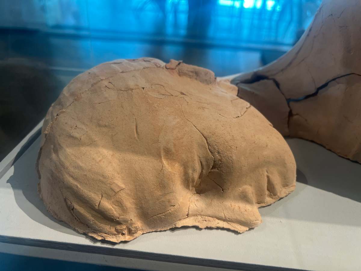 Cast1 by Elaine Sutton, Image 6.