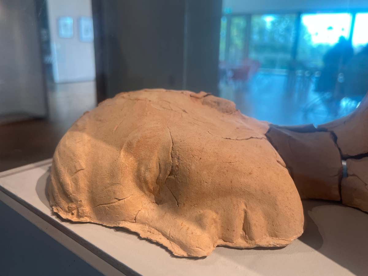 Cast2 by Elaine Sutton, Image 4.