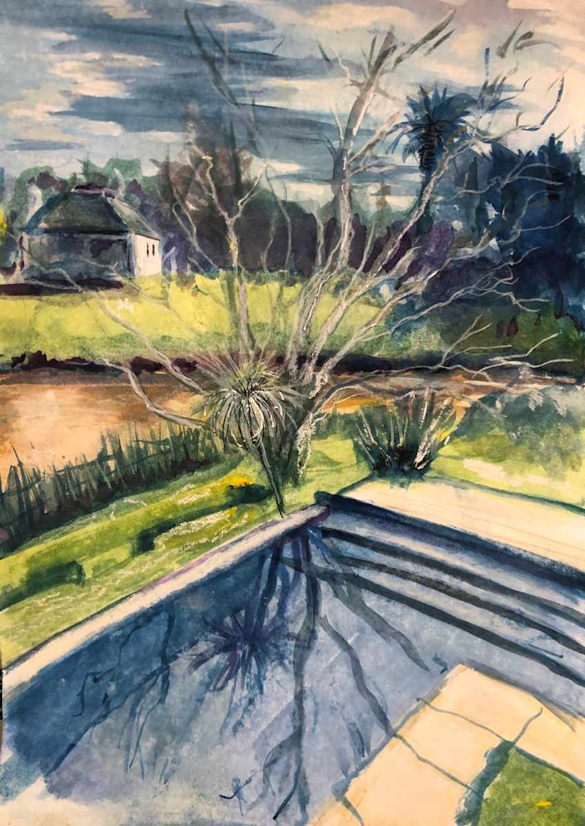 Nordelta DAL 28 by Ricardo Winitzky  Image: Study of the Nordelta landscape