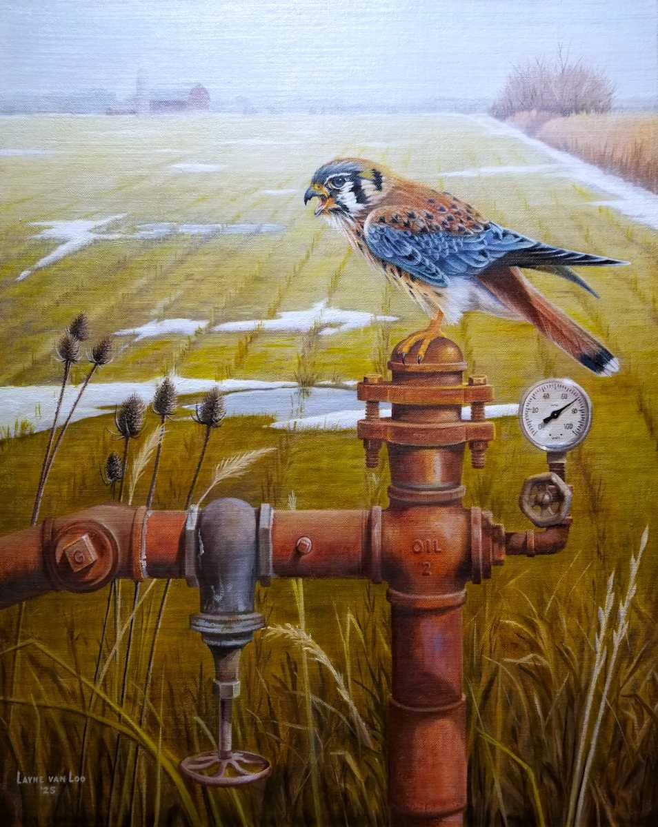 "Environmental Pressure" by Layne van Loo 