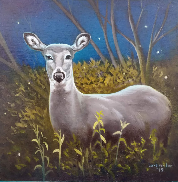 "A Deer in the Headlights" by Layne van Loo 