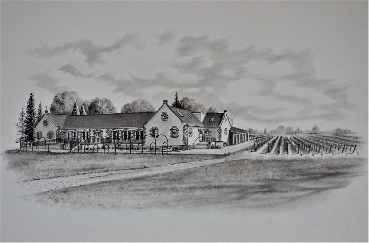 "Pelee Island Winery" by Layne van Loo 