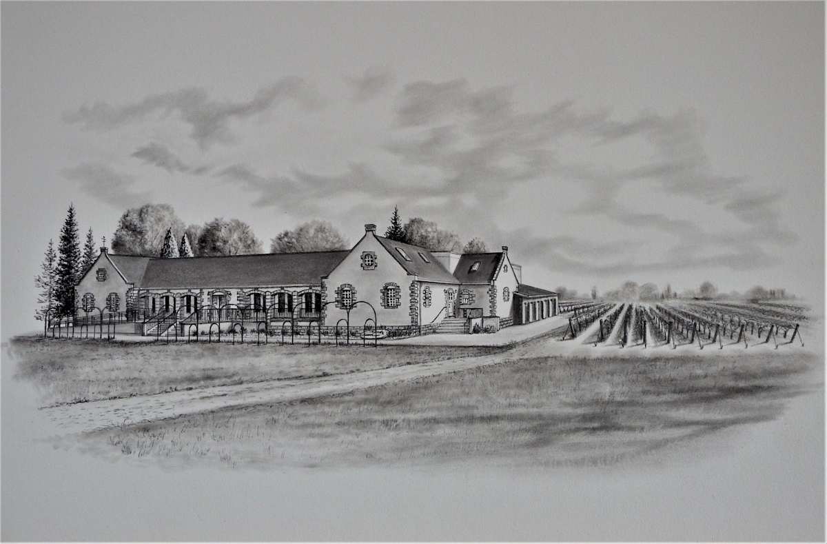 "Pelee Island Winery" by Layne van Loo, Image 1.