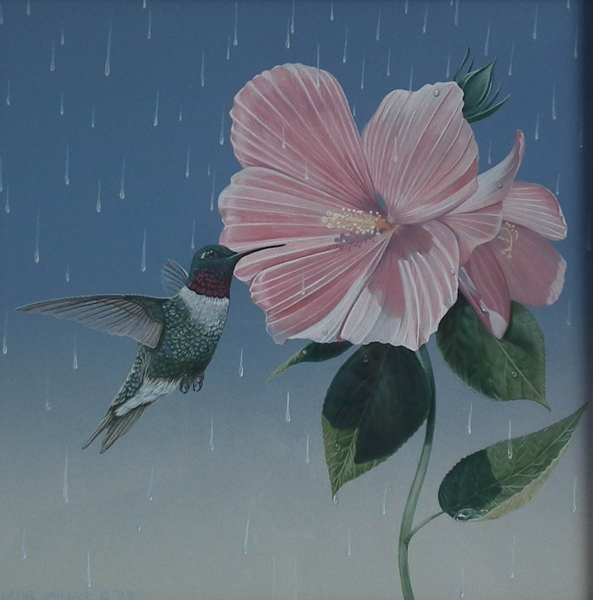 "Sun Shower" by Layne van Loo, Image 1.
