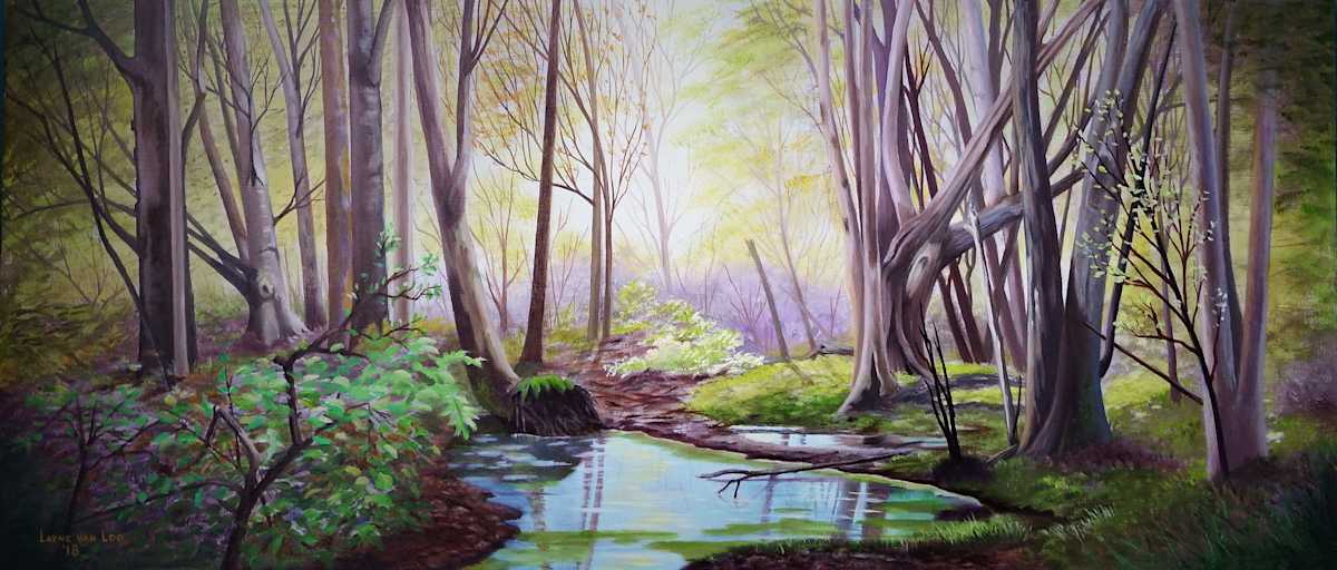 "Mystic Forest" by Layne van Loo, Image 1.
