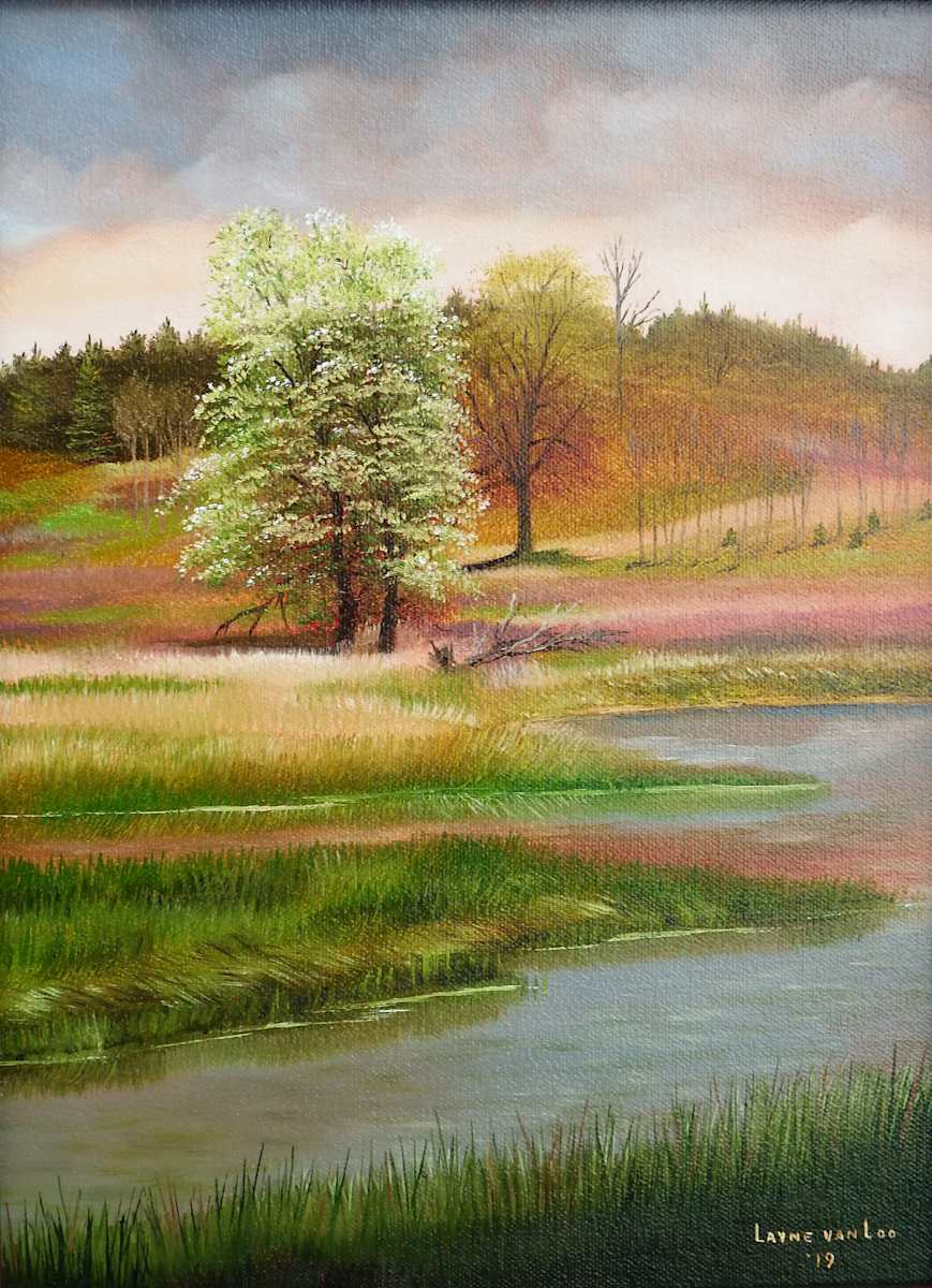 "AM at Wilson Flats" by Layne van Loo, Image 1.