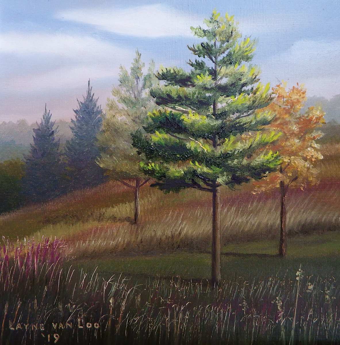 "On Malden Hill" by Layne van Loo, Image 1.