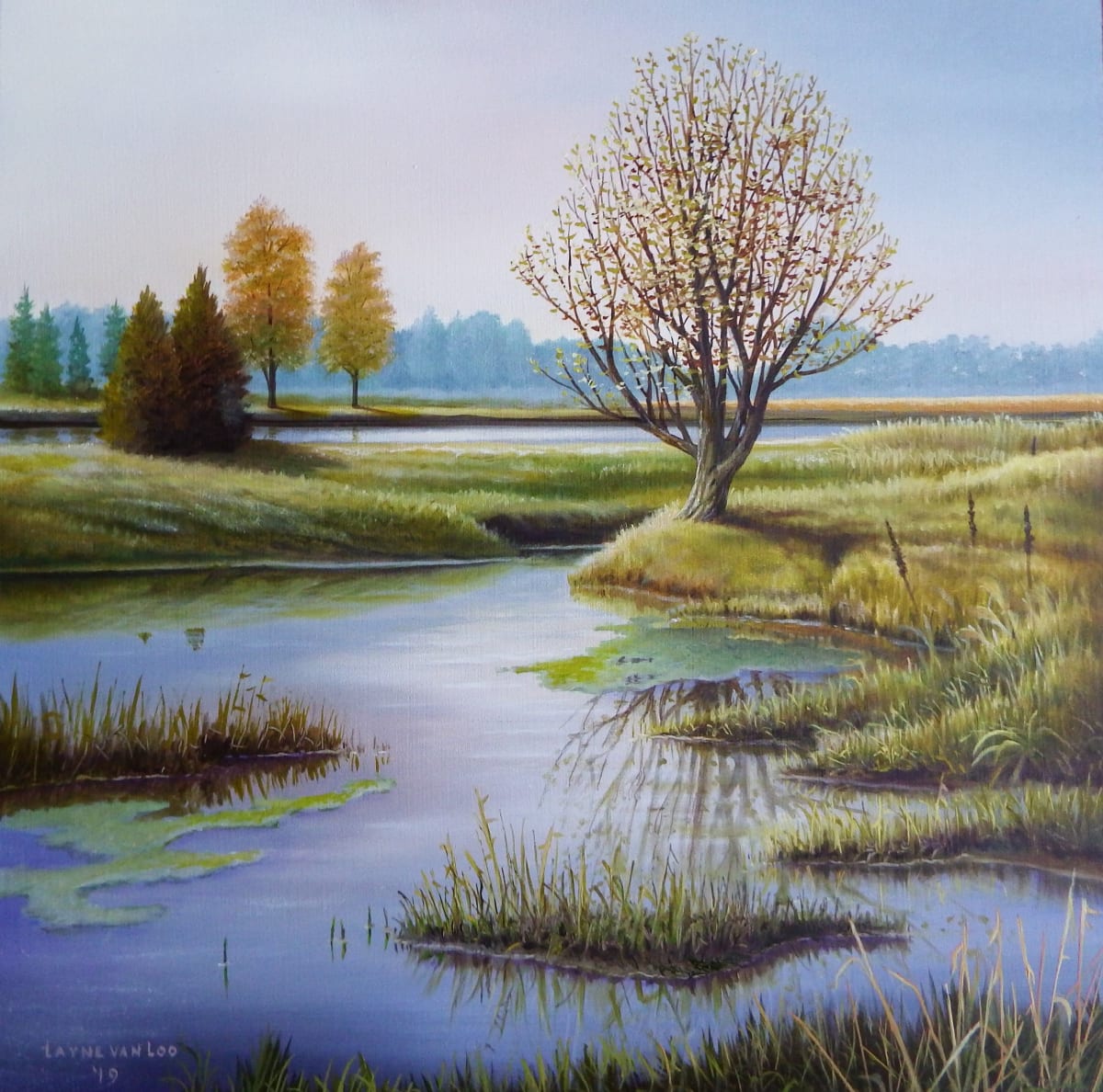 "May in the Marsh" 
