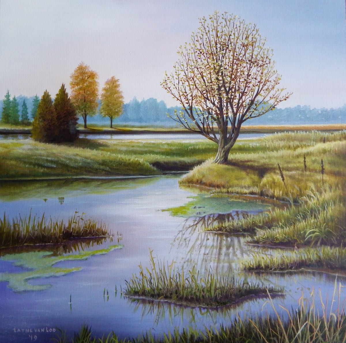 "May in the Marsh", Image 1.