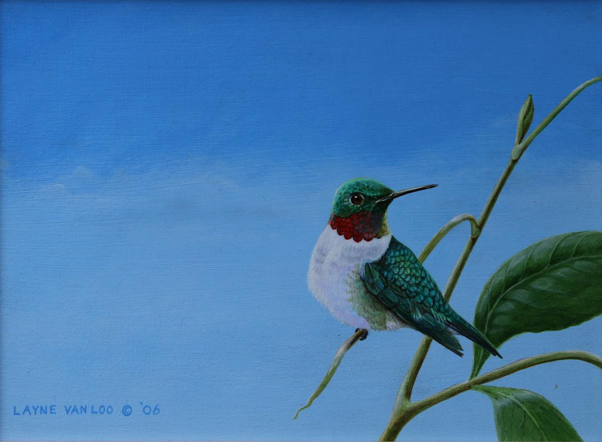 "Summer Spangle" by Layne van Loo, Image 1.
