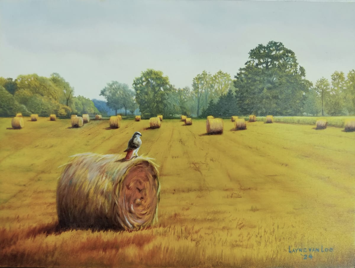 "Observation Point" by Layne van Loo, Image 1.