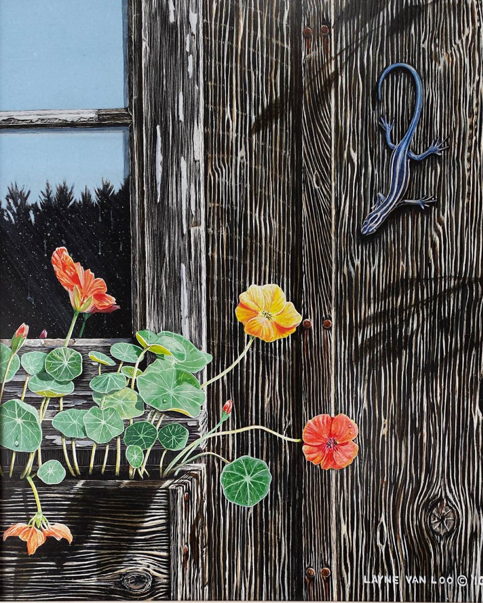 "Window Dressing" by Layne van Loo 
