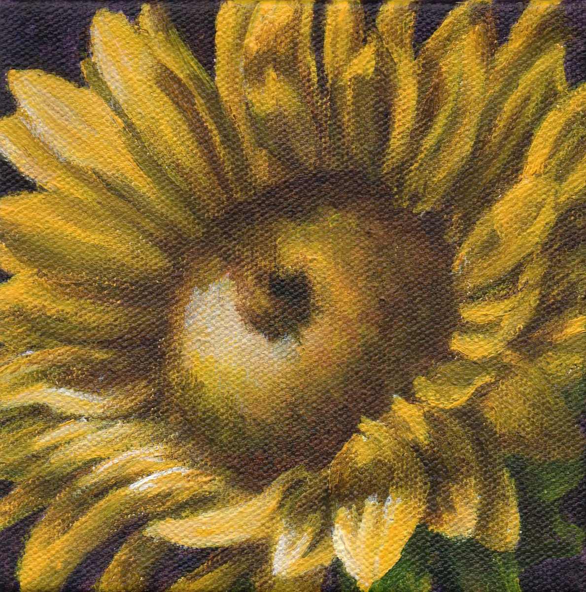 Summer's Sun by Debbie Shirley, Image 1.