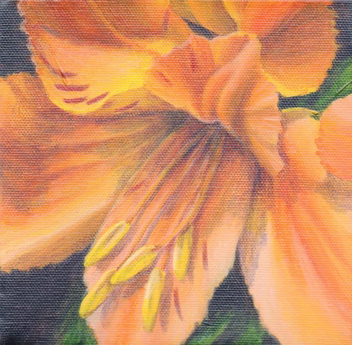Duchess by Debbie Shirley, Image 1.