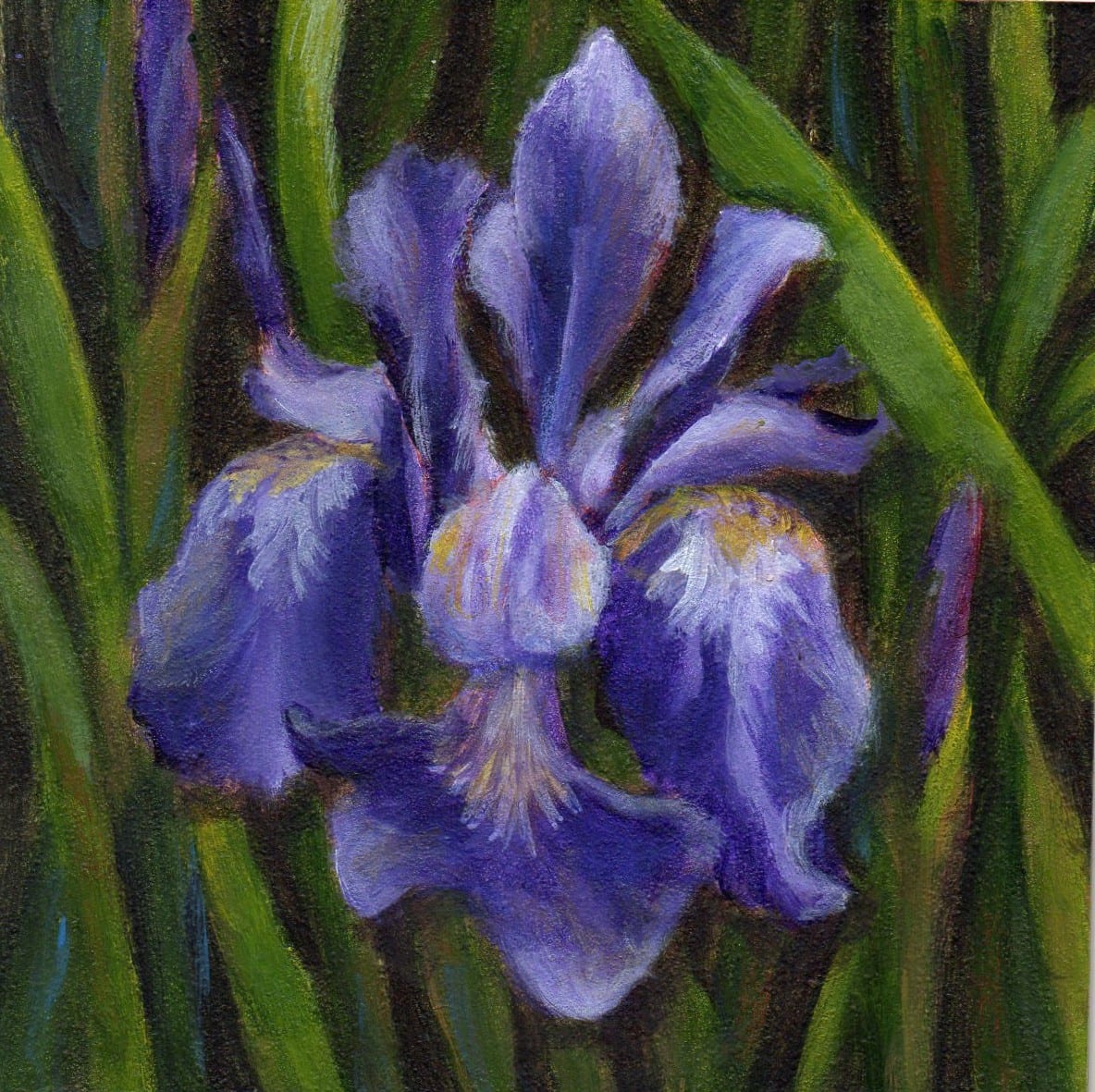 Classic Colors by Debbie Shirley, Image 1.