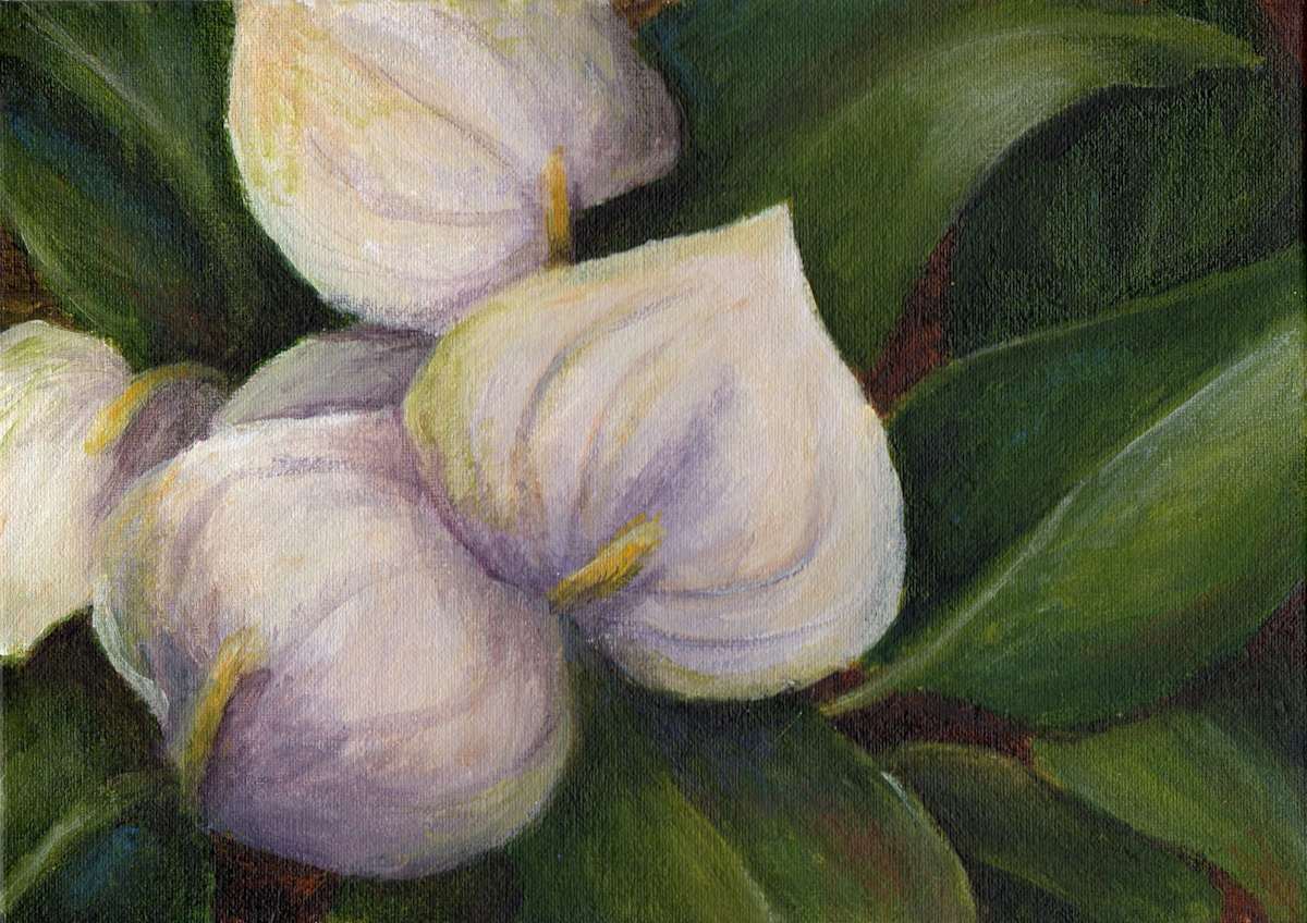 Winter Green by Debbie Shirley, Image 1.