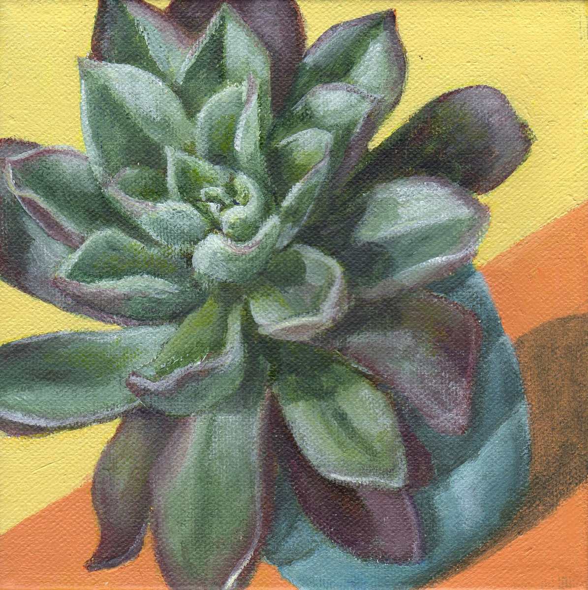 Succulent by Debbie Shirley, Image 1.