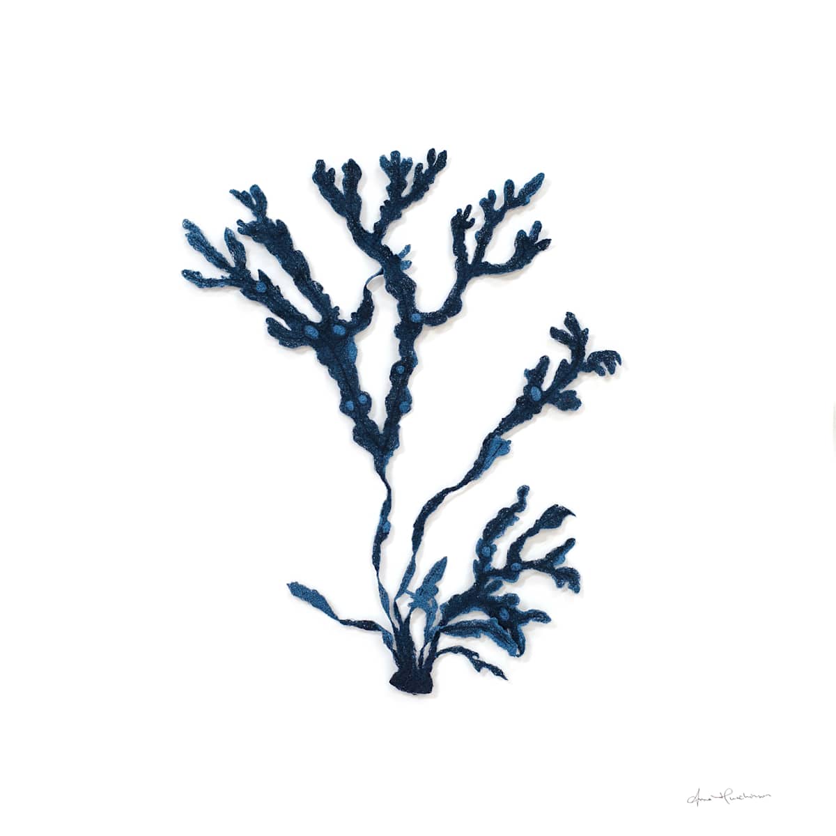 Bladderwrack in Blue I by Anna Hutchinson 