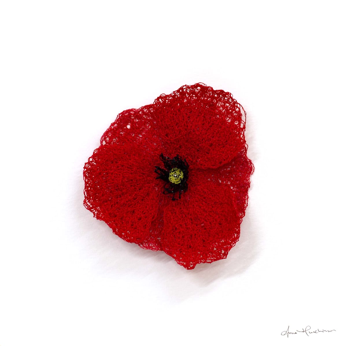 Common Poppy by Anna Hutchinson, Image 1.