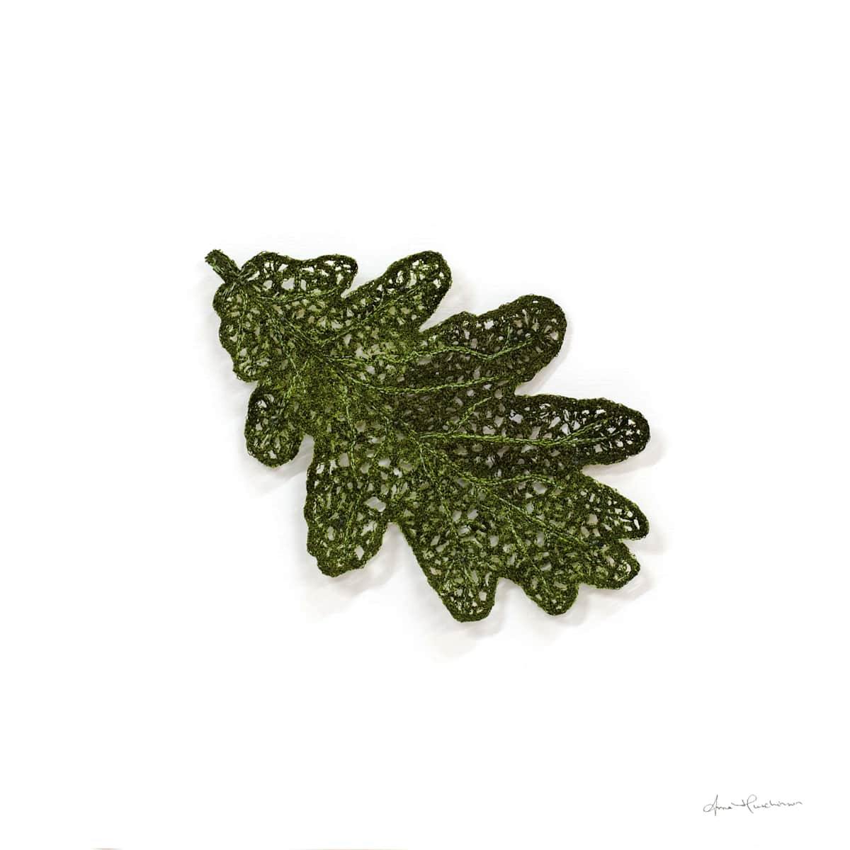 Oak Leaf Lace by Anna Hutchinson, Image 1.