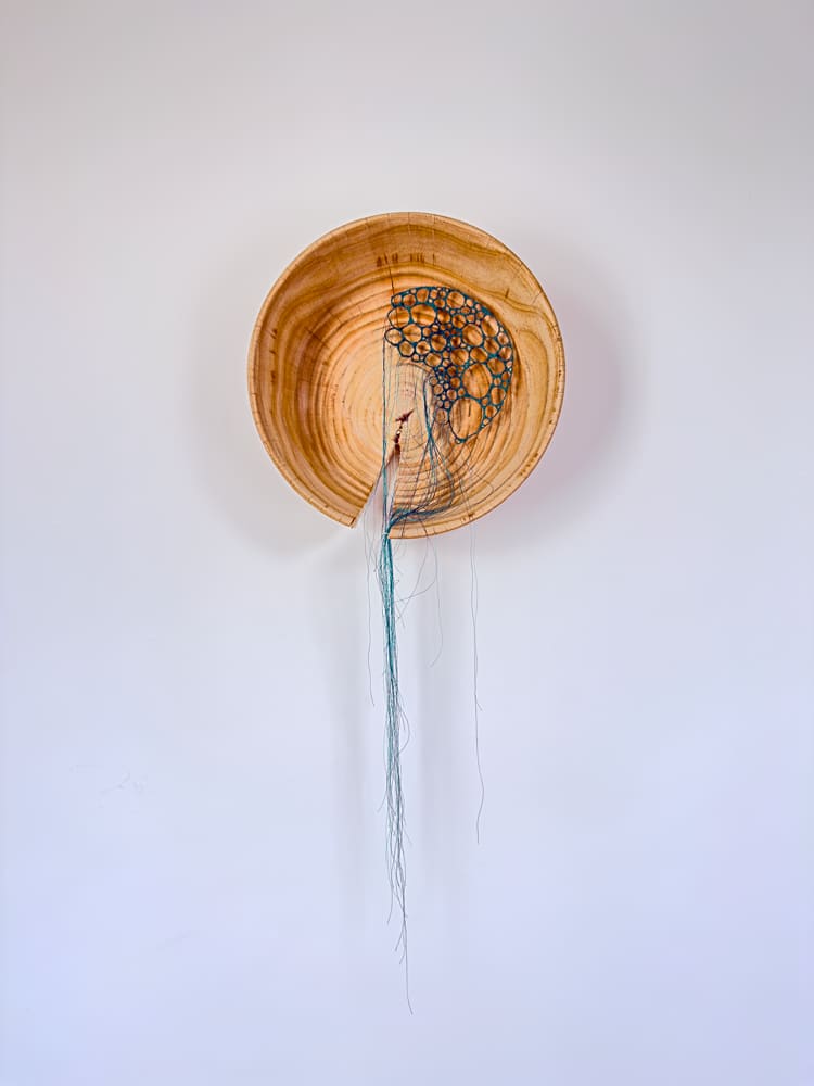 Open System by Anna Hutchinson, Image 1.