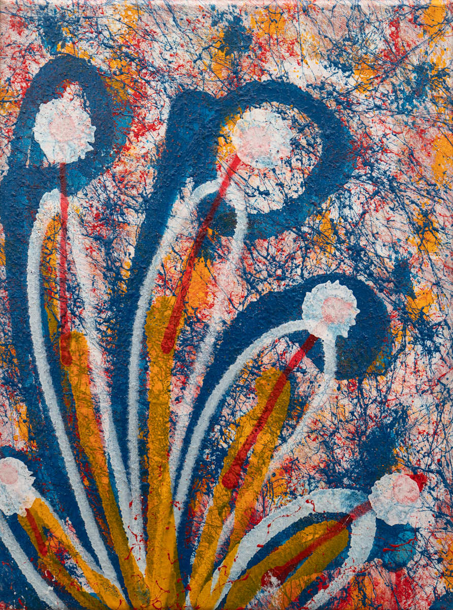 ZORA, 2025 by Rushit Shah 