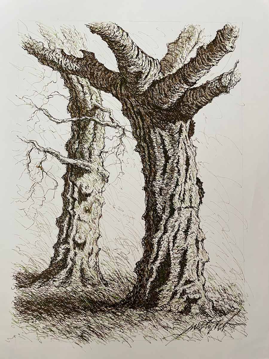 Le Havre Tree 2 by Larry Prestwich, Image 13.