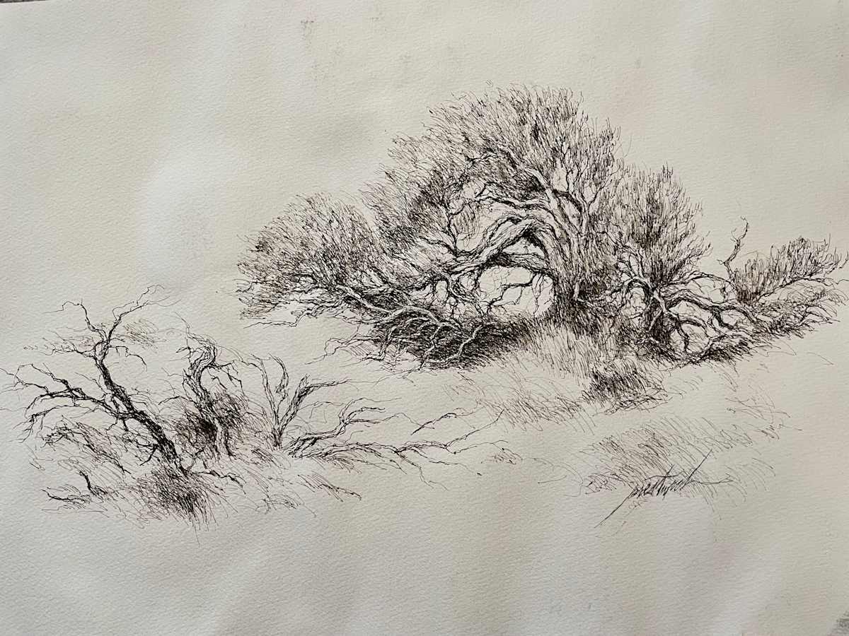 Todd and Allison's Tree by Larry Prestwich, Image 1.
