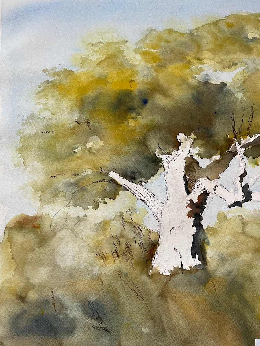 Unfinished Tree by Larry Prestwich, Image 1.
