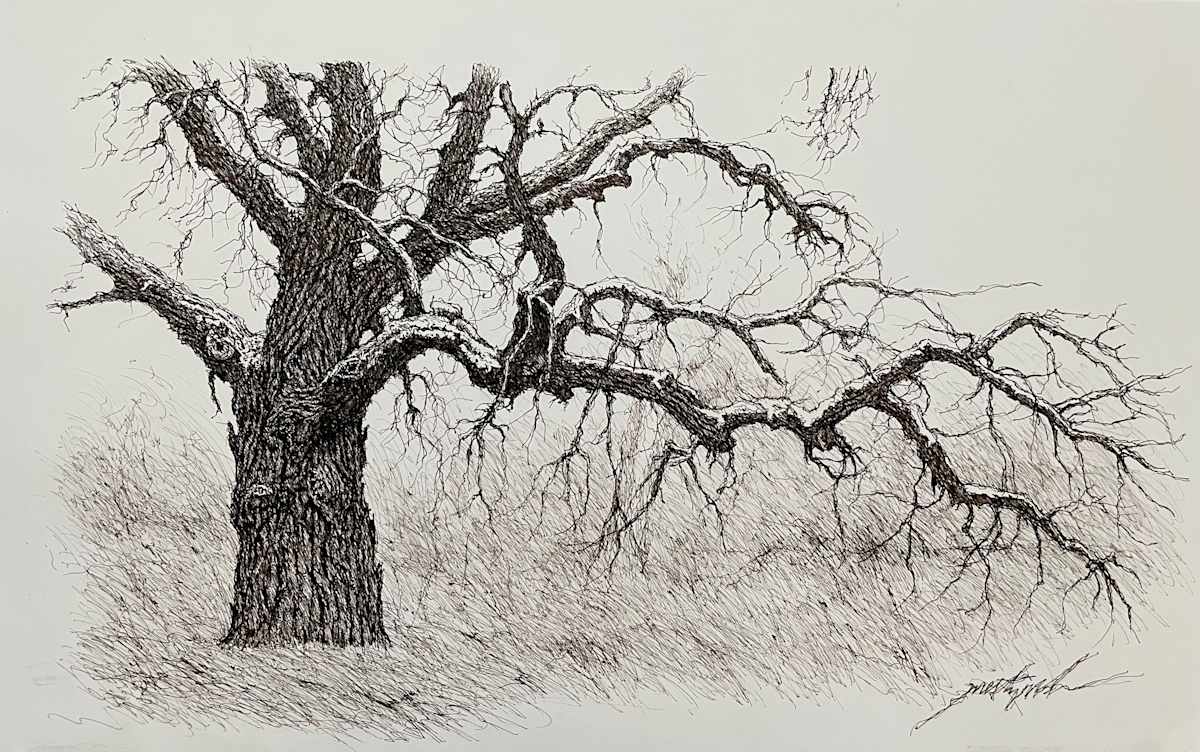 Platte River Tree by Larry Prestwich, Image 7.
