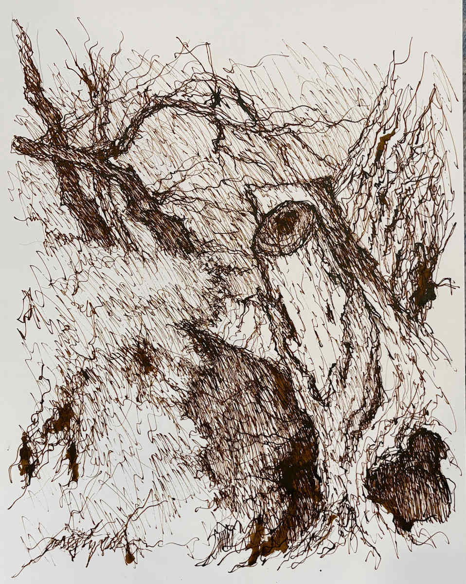 Longmont Canal Tree 4 by Larry Prestwich, Image 1.