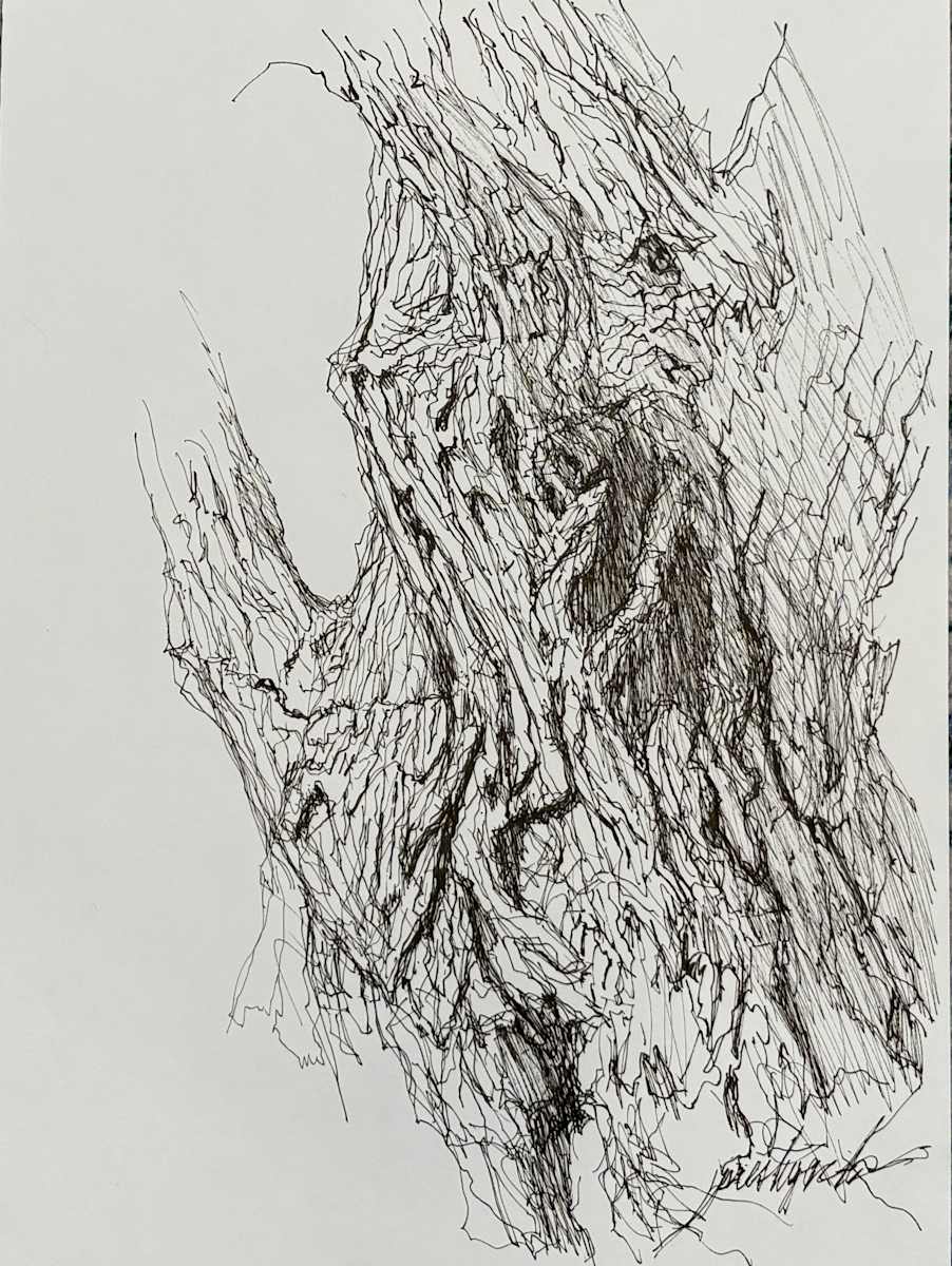 Longmont Canal Tree Sketch by Larry Prestwich, Image 1.