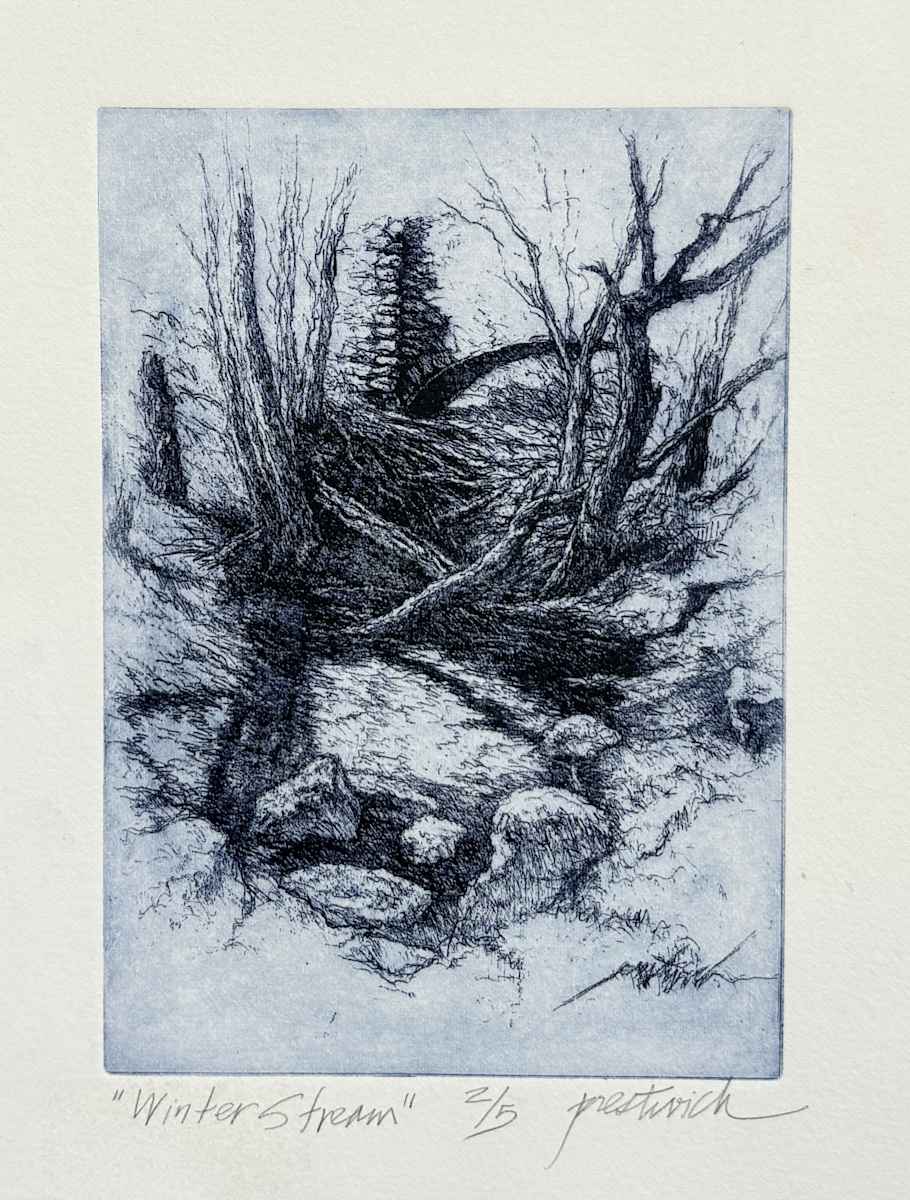 Winter Stream 2/5 by Larry Prestwich, Image 1.