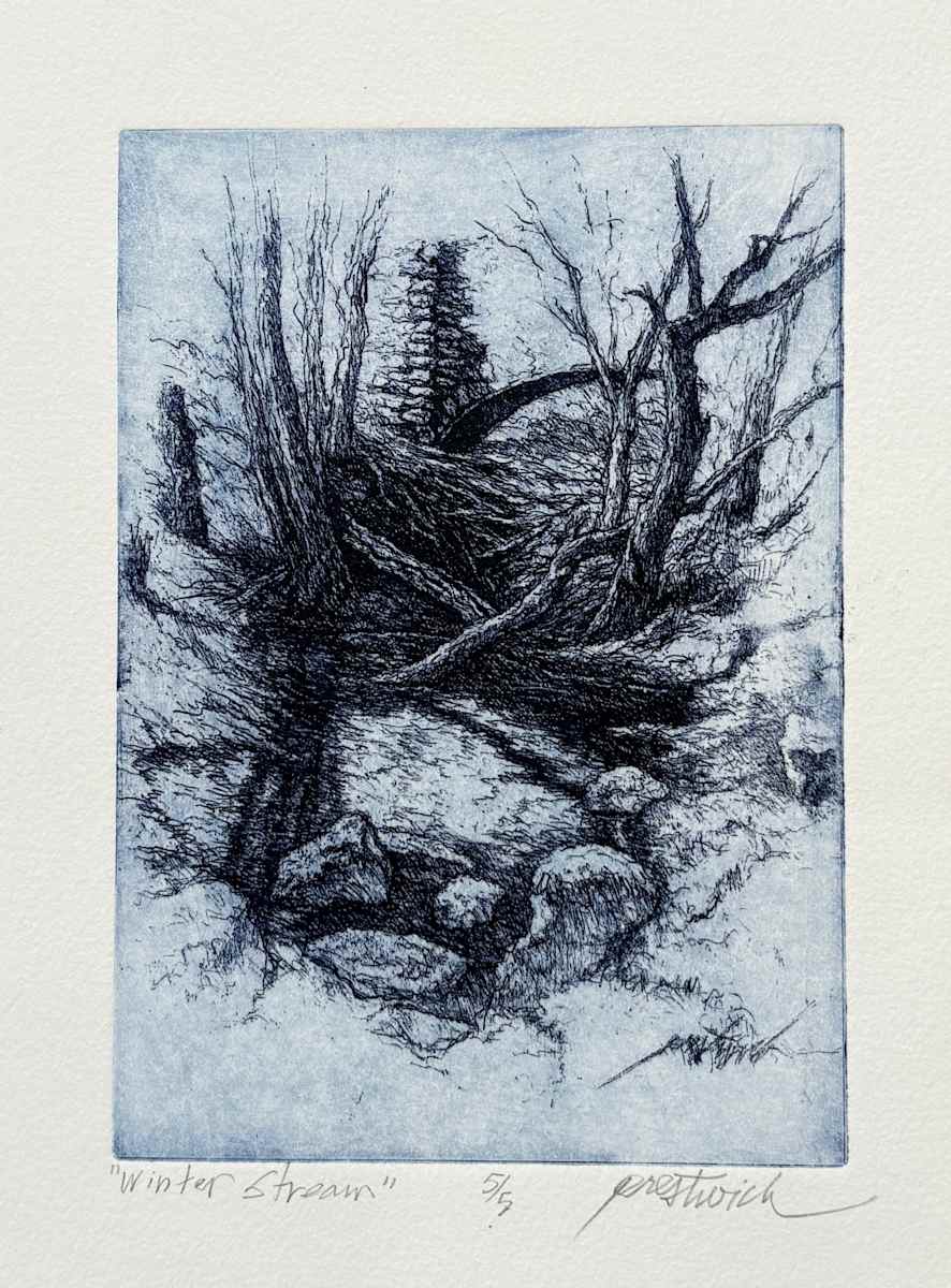 Winter Stream 5/5 by Larry Prestwich, Image 1.