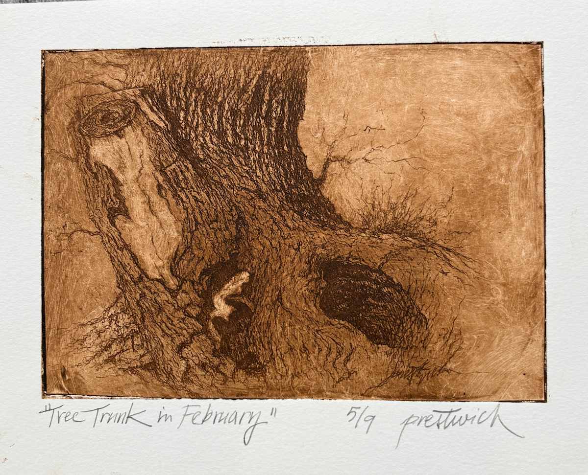 Tree Trunk in February 5/9 by Larry Prestwich, Image 1.