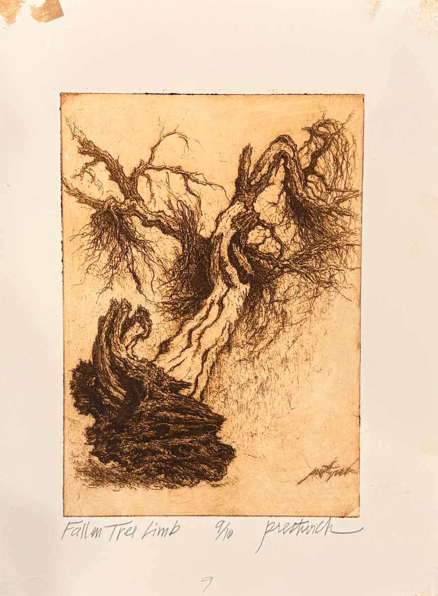 Fallen Tree Limb 9/10 by Larry Prestwich, Image 1.