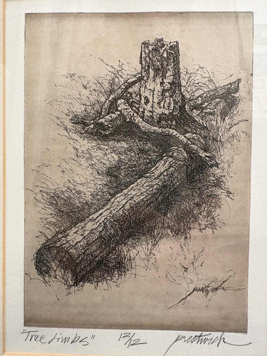 Tree Limbs 12/12 by Larry Prestwich, Image 1.