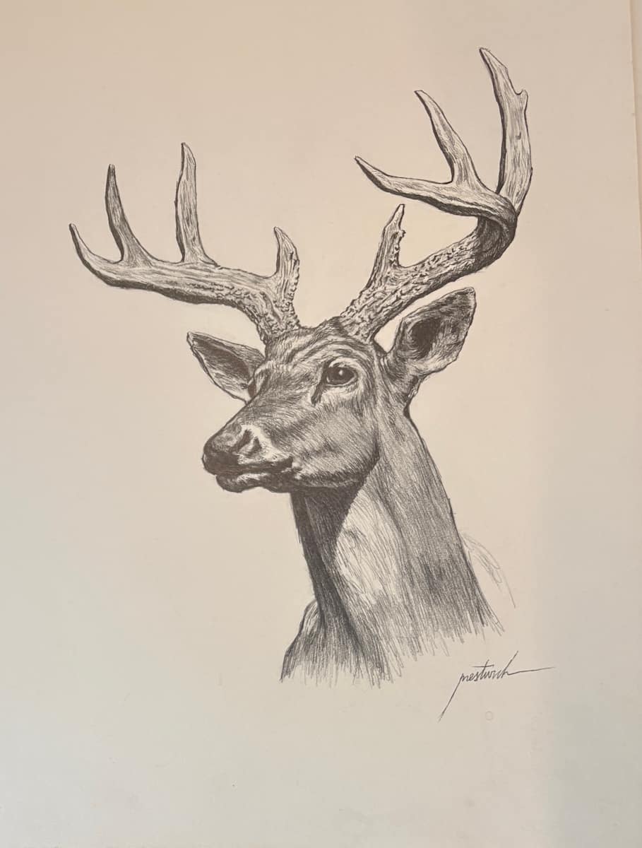 Elk by Larry Prestwich, Image 1.