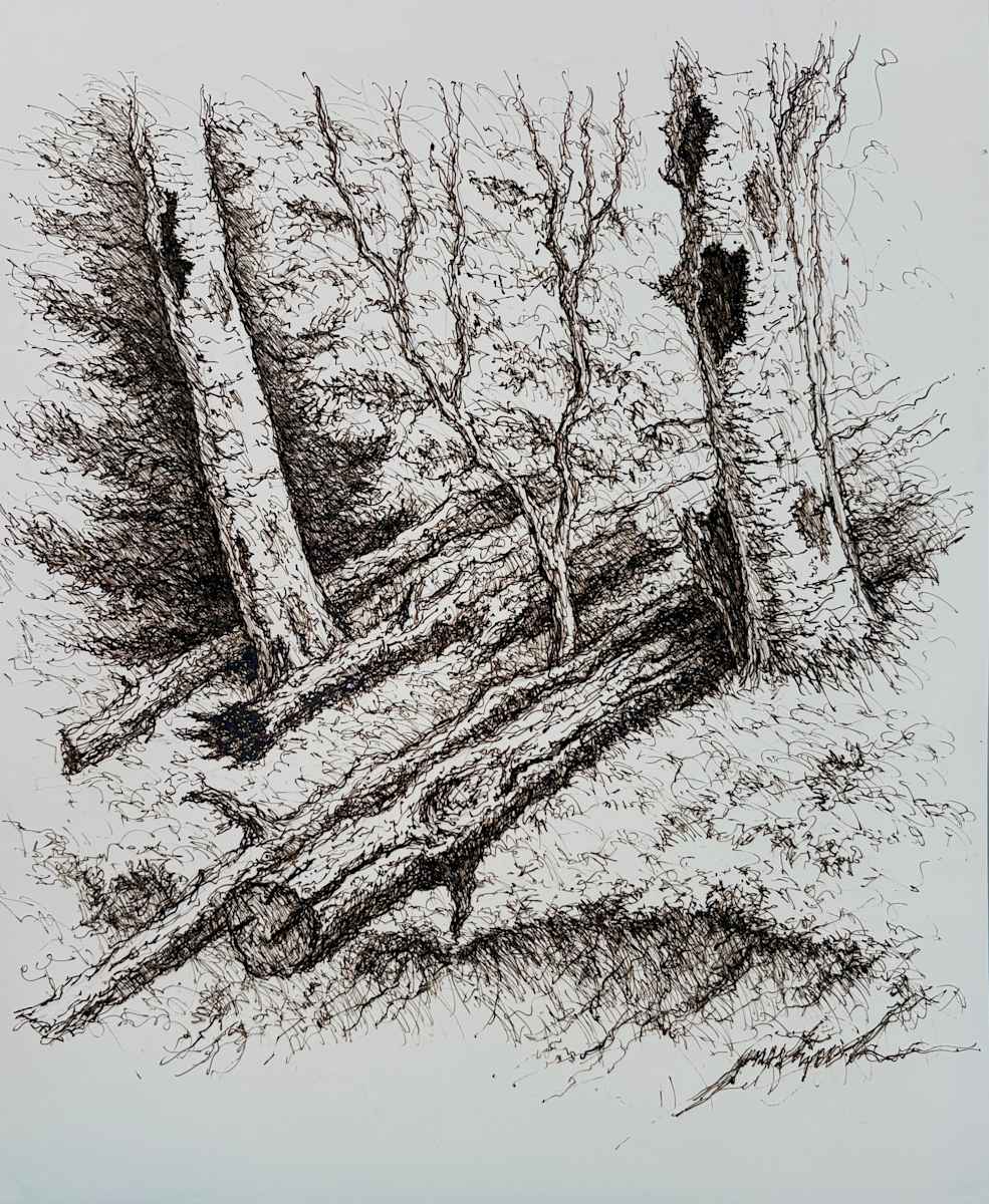 Riverbed Trees by Larry Prestwich, Image 1.