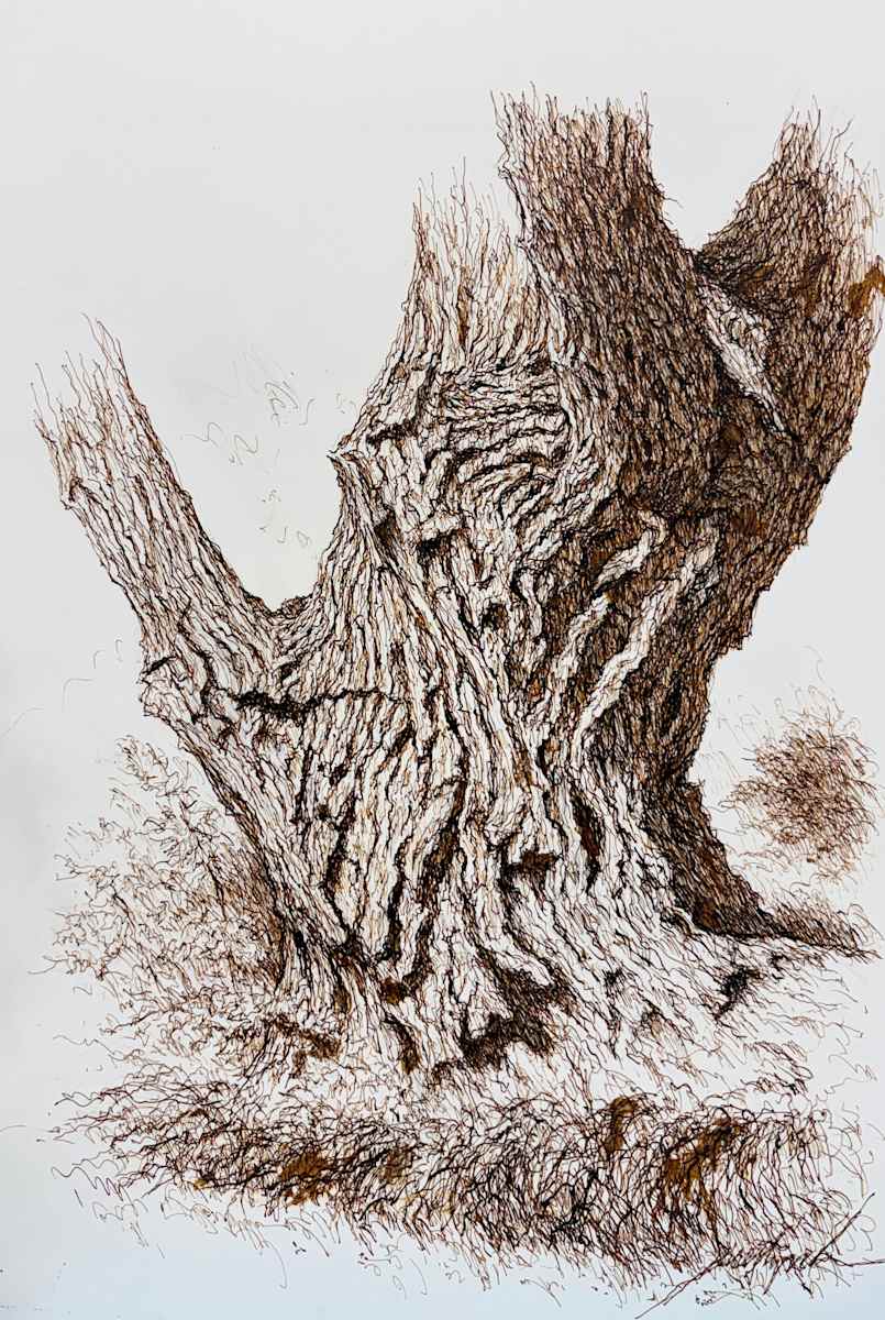 Large Tree Trunk by Larry Prestwich, Image 1.