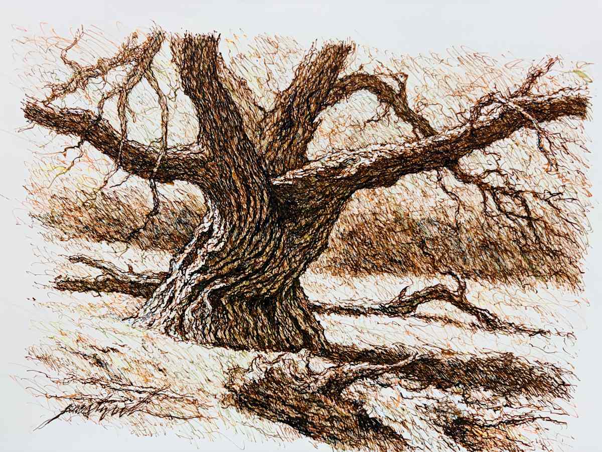 Untitled by Larry Prestwich, Image 1.